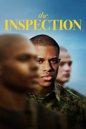 The Inspection