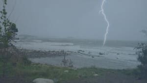 The Curse of Oak Island Dark and Stormy