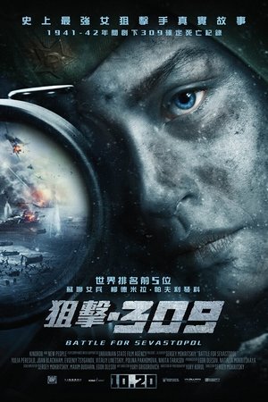Image 女狙击手
