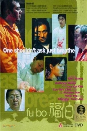 Poster Fu Bo 2003