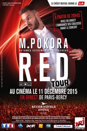 Poster Matt Pokora -  Red Tour 2015