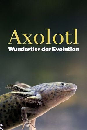 Axolotl, la salamandre miraculeuse (2024)