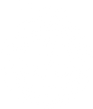 Super Robot Monkey Team Hyperforce Go! — Logos 2