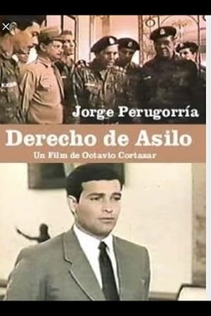 Poster Derecho de asilo (1993)