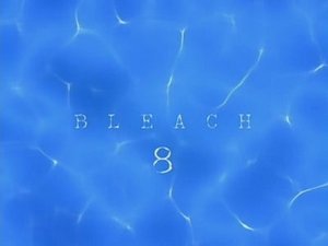 Bleach: 1×8