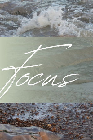Focus (2026) cartaz