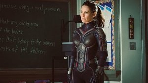 Ant-Man and the Wasp (2018)