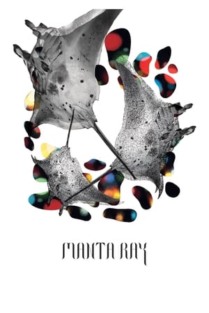 Poster di Manta Ray