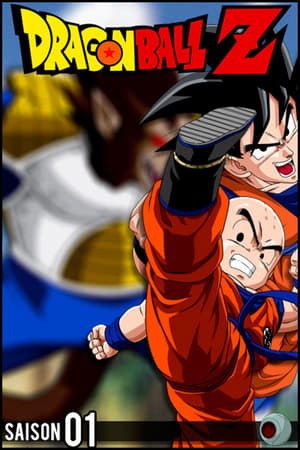 Dragon Ball Z - Saga Saïyens - poster n°1