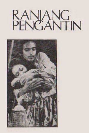 Poster Bridegroom's Bed (1974)