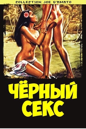 Poster Чёрный секс 1980