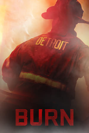 Poster Burn (2012)