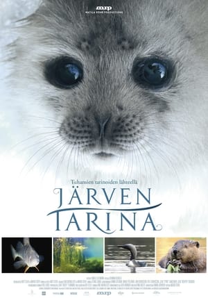 Poster Järven tarina 2016