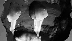 Born to Lose Vol. 3: Fuckenstein 2023