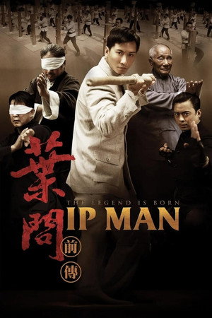 葉問前傳 (2010) 海報