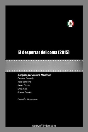 Poster Al despertar del coma 2015