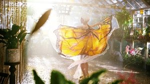 فيلم The Butterfly Tree 2017 مترجم اون لاين