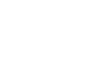 Xuan-Yuan Sword: Scar of Sky — Logos 3