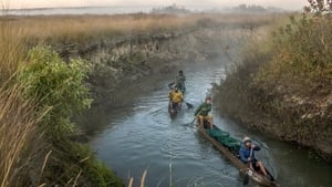 Into the Okavango