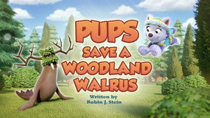 Épisode 11
