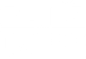 Spies in Disguise