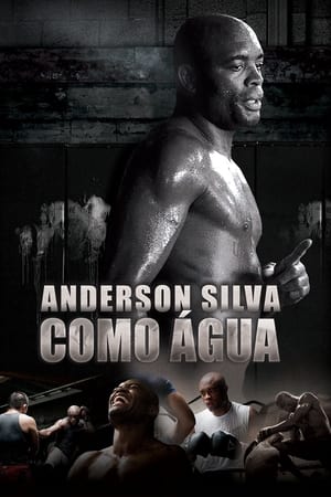 Poster Anderson Silva: Como Água 2011