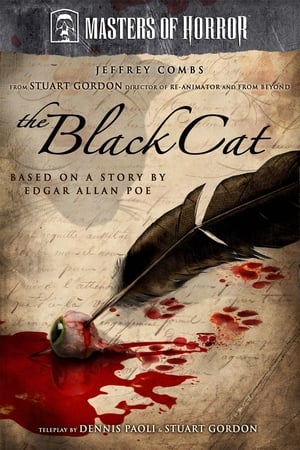 Poster The Black Cat (2007)