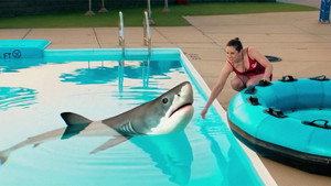 Water Park Shark