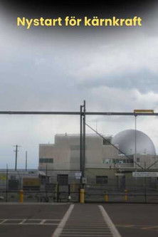 Nuclear Energy - The Solution for a Green Future?