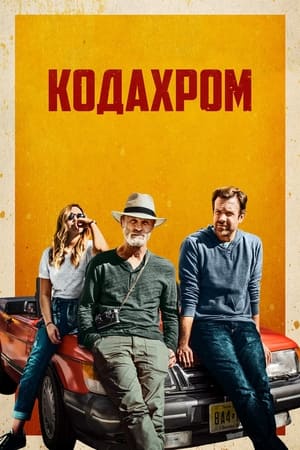 Poster Кодахром 2017