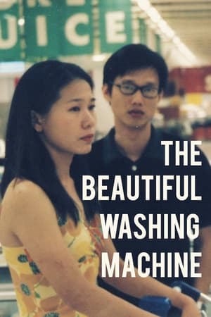 Poster 美丽的洗衣机 2004