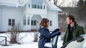 The Snowman (2017)