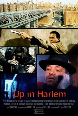 Image Up in Harlem