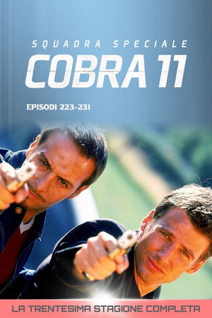 Squadra Speciale Cobra 11: Stagione 30
