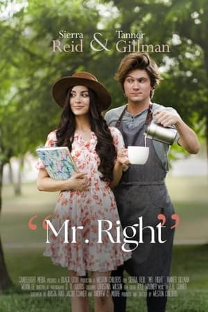 Poster Mr. Right (2023)