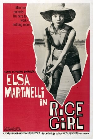 Poster La risaia 1956