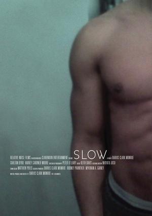 Poster Slow 2011