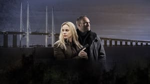 poster The Bridge