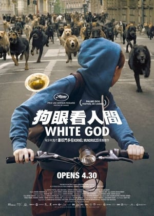 Poster 白色上帝 2014