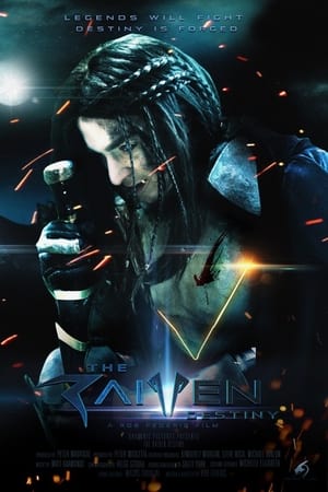 Poster The Raiven Destiny 2016