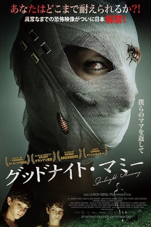 グッドナイト・マミー (2014)