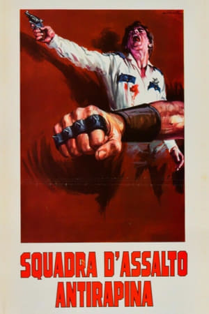 Poster Squadra d'assalto antirapina 1976