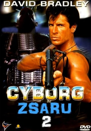 Cyborg zsaru 2.