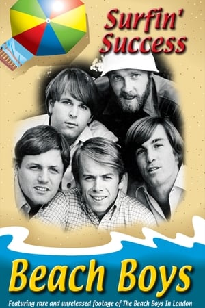 Poster Beach Boys: Surfin' Success 2008