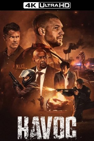 poster Havoc