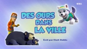 Paw Patrol Helfer auf vier Pfoten: 6×31