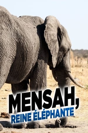 Mensah: La reina de los elefantes