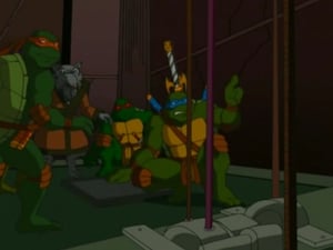 Teenage Mutant Ninja Turtles: 1×22