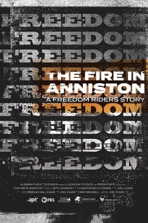 Image The Fire in Anniston: A Freedom Riders Story