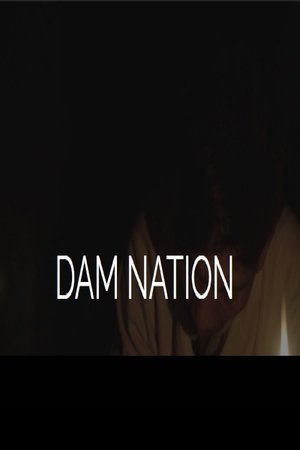 Poster Dam Nation 2020